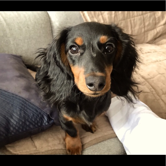 Meet your Posher, Pen - Picture 1 of 1